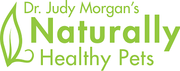 Dr. Judy Morgan DVM Naturally Healthy Pets