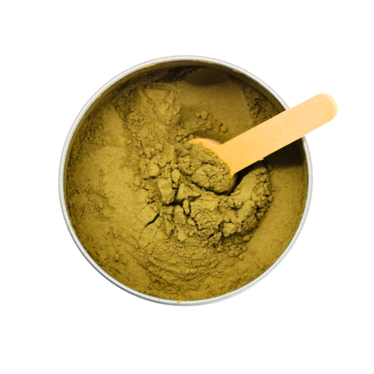 Gut Health Support | All-Natural Health Supplement for Dogs