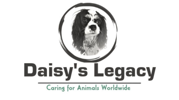 Daisy's Legacy