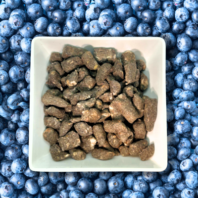Natural Duck w/Rabbit + Blueberries Bites | 40-Bite .65oz Sampler Pouch - Woof Creek Dog Wellness
